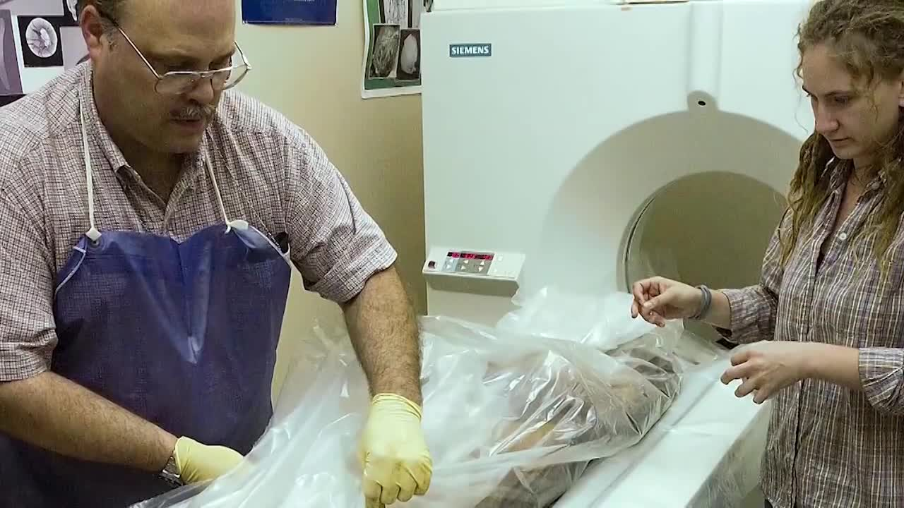 Smithsonian Science How: Mummy Science