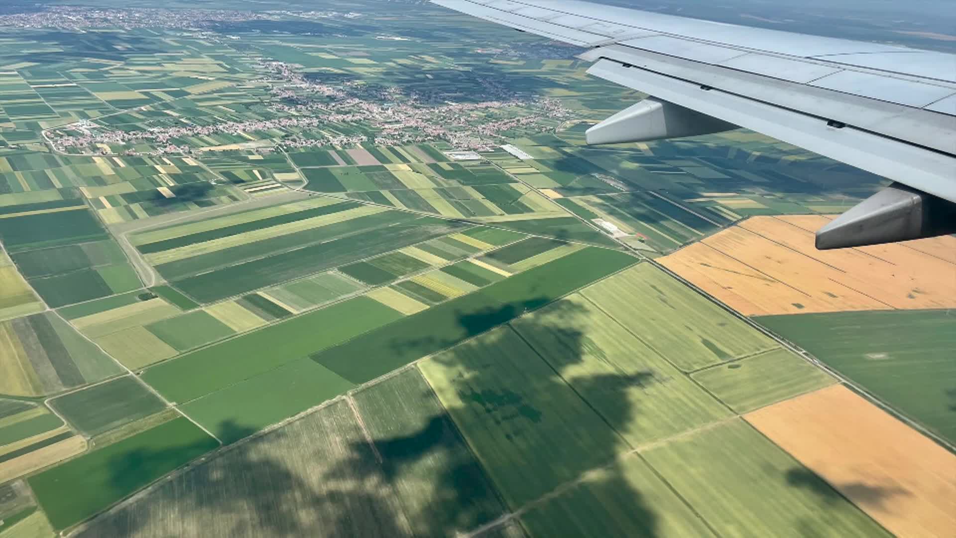 Cooking & Kids: Paprikash & the Family Farm