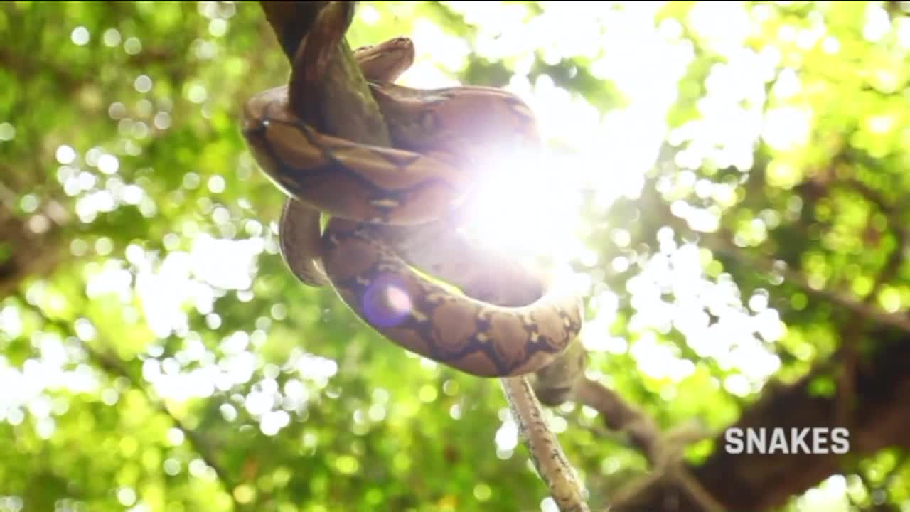 All the Answers - The Everglades, Canals, Heat Waves