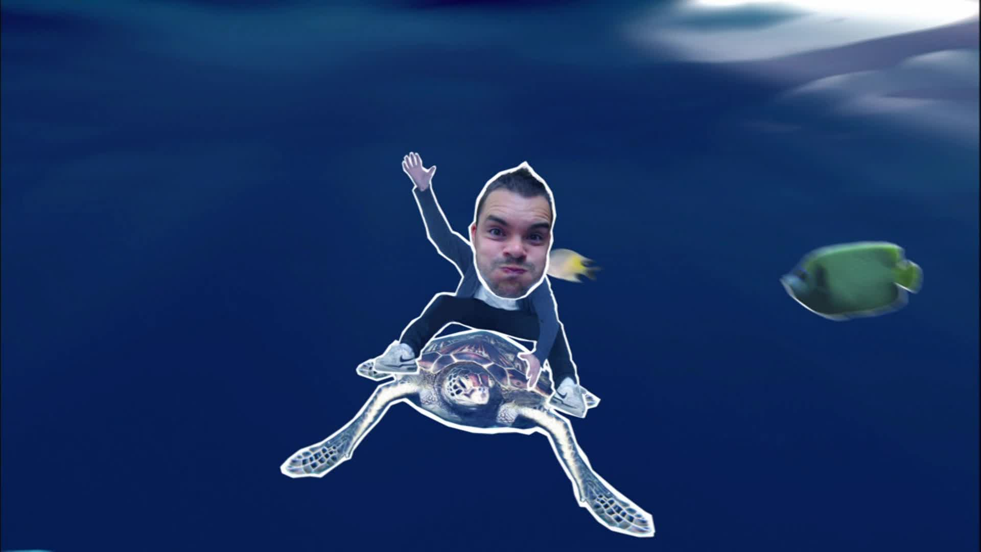 Thumbnail image for Barney's Barrier Reef: Hitmen