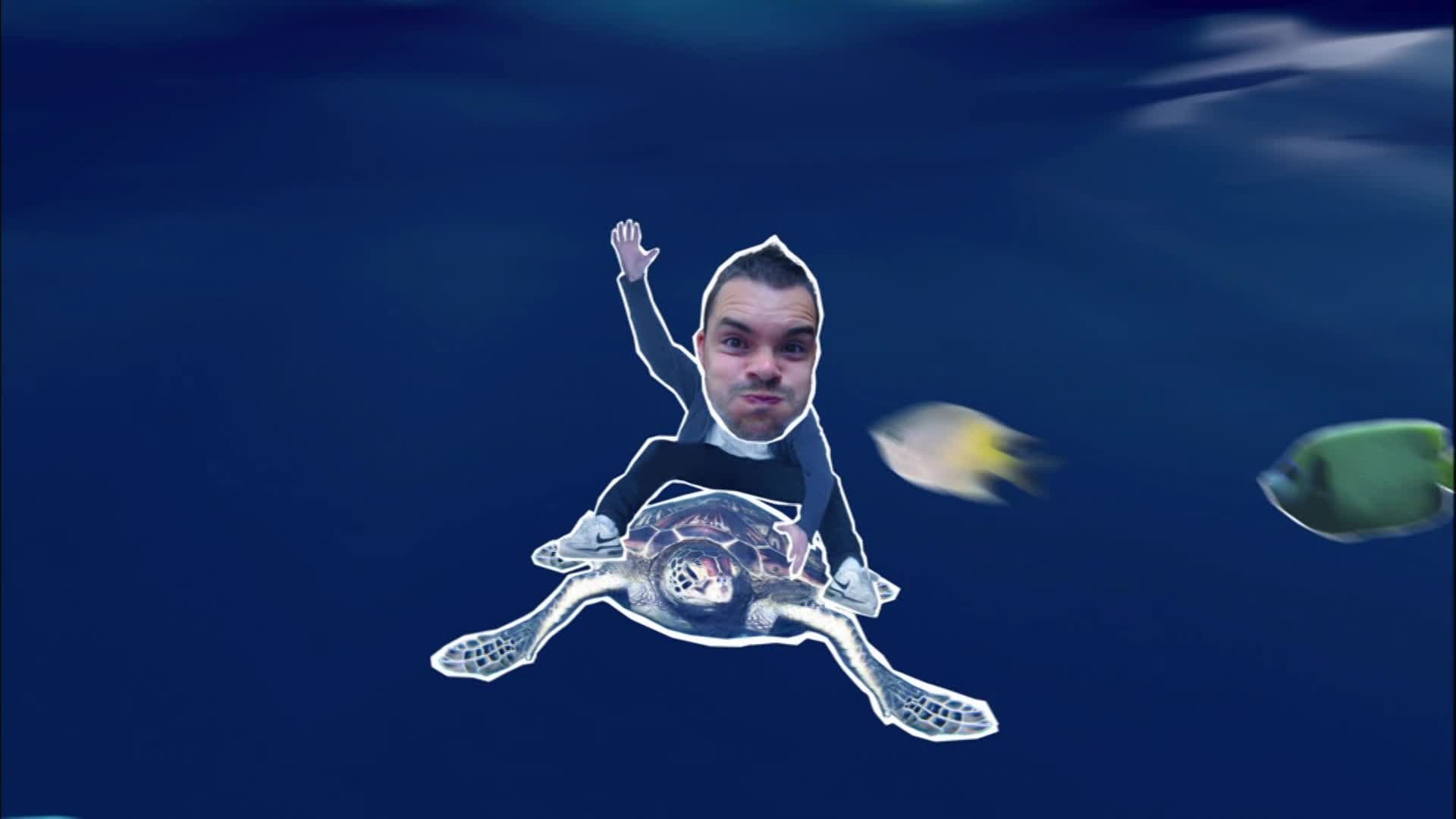 Barney's Barrier Reef: Slime, Snot and Guts