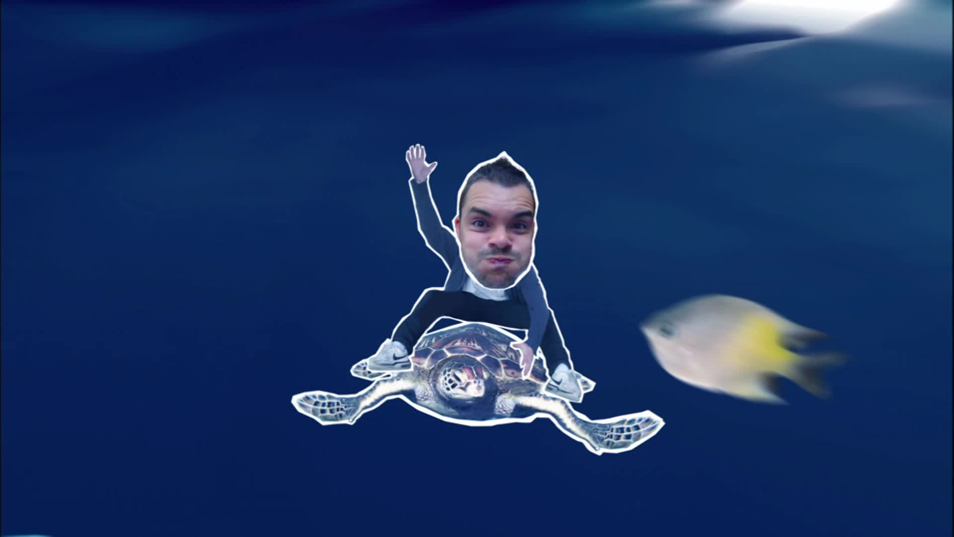 Thumbnail image for Barney's Barrier Reef: Home Sweet Home
